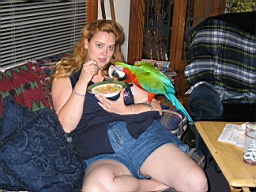 White River in Arkansas 208.jpg